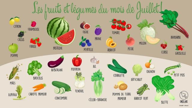 [#mangerdesaison ]
Voici le mois de juillet, les #vacances, les #fruits et #légumes de l’été …

Nos #producteurs, nos #grossistes eux ne sont pas partis en vacances, ils sont bien là pour vous permettre de vous régaler des fruits et légumes de saison… #tomates #courgettes #aubergines #melon #poivrons… n’attendent que vous!

Si vous manquez d’idées pour cuisiner les poivrons, préparez ces poivrons grillés à l’huile d’olive et à l’ail! Ils pimperont vos #salades et accompagneront vos #apéro de l’été …
Une recette à retrouver sur Mamscook.com ! 

Nous vous souhaitons un bel été 
#min #toulouse #mintoulouse #poivronsalail #fruitsetlegumesdesaison #recette #recettesimple #yummyfood